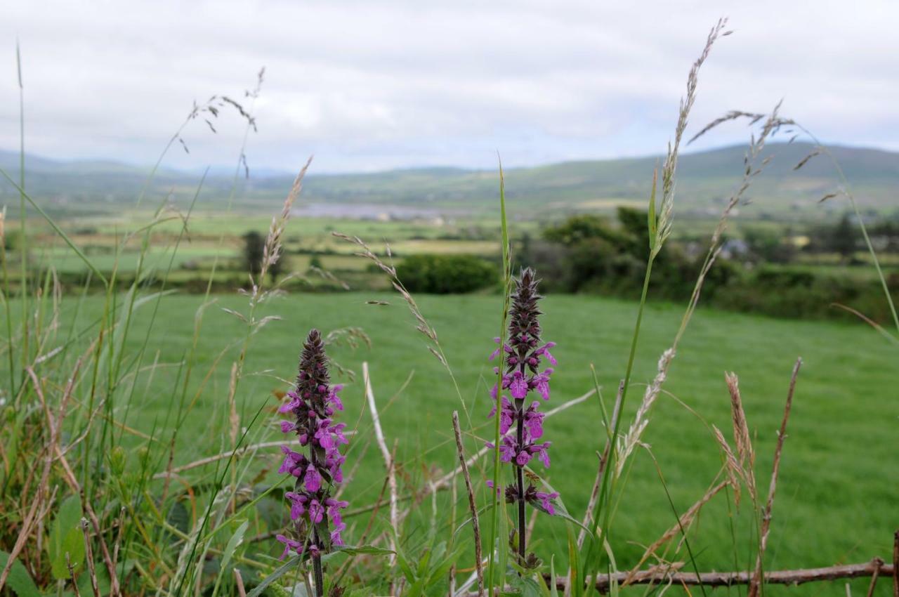 Emlagh East Short Strand Dingle المظهر الخارجي الصورة